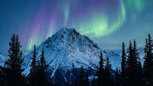 Aurora Snowy Peak