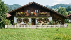 Austrian Farmhouse Flowers