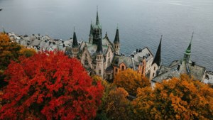 Autumn Aerial