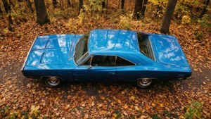 Autumn Aerial