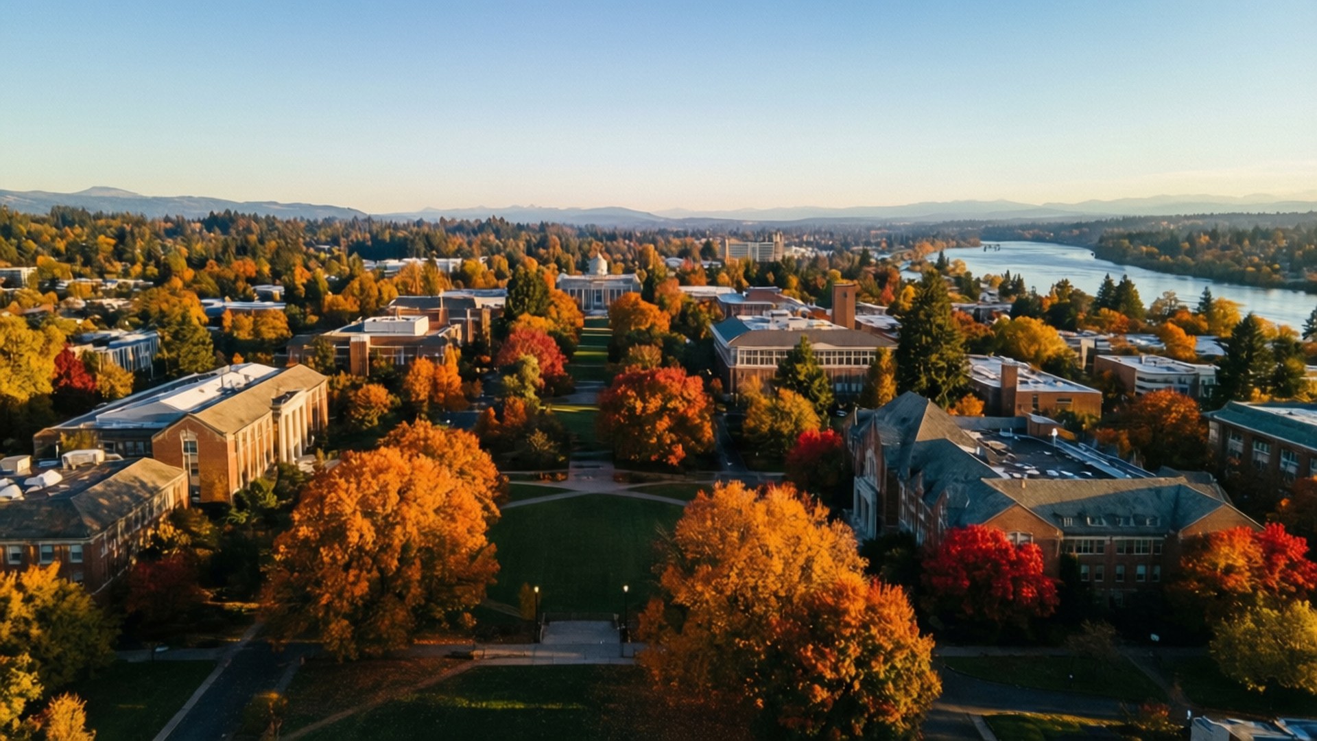 Autumn Aerial of Campus by Wallpapers.art Studio