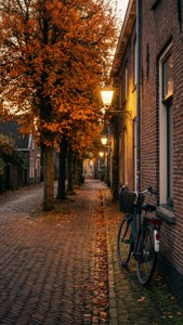 Autumn Alley Glow