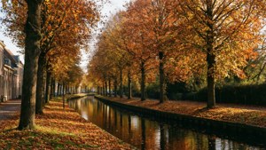 Autumn Along the Canal