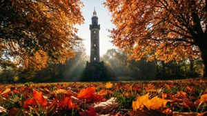 Autumn at Brandon Hill