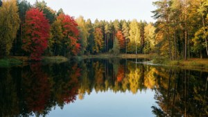 Autumn at Green Lakes