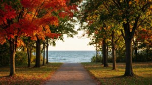 Autumn at Jack Darling Park