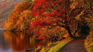 Autumn at Loch Ness