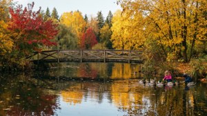 Autumn at Mill Lake