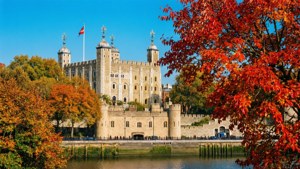 Autumn at the Tower