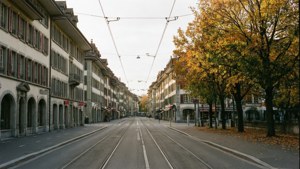 Autumn Avenue Walk