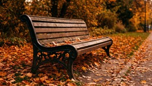 Autumn Bench