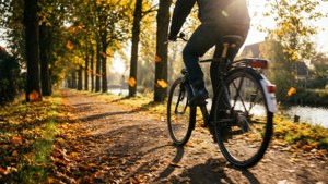 Autumn Bike Path