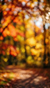 Autumn Bokeh Bliss