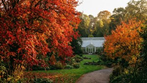 Autumn Botanic Garden