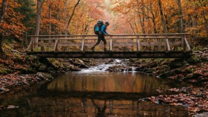 Autumn Bridge