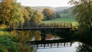 Autumn Bridge Path