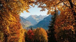 Autumn Brig