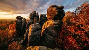 Autumn Brimham Rocks