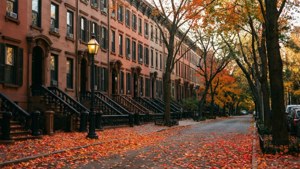 Autumn Brownstone Row
