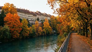 Autumn by the Aare