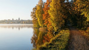 Autumn by the Lake