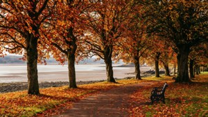 Autumn by the Strait