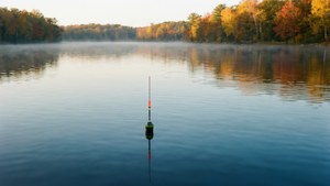 Autumn Calm