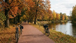 Autumn Canal Bike Path