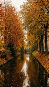 Autumn Canal in Deventer
