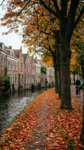 Autumn Canal Path