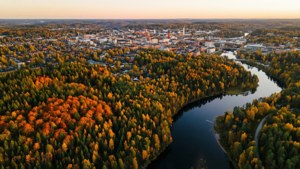 Autumn Canopy Aerial