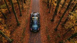 Autumn Canopy Exelero