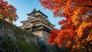 Autumn Castle Majesty