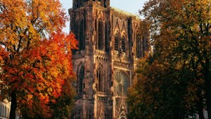 Autumn Cathedral Scene