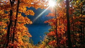 Autumn Colors Along Saguenay