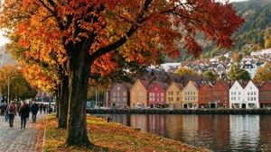 Autumn Colors at Bryggen