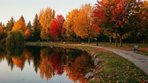 Autumn Colors at Mill Lake