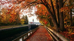 Autumn Colors at the Locks