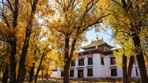 Autumn Colors at the Palace