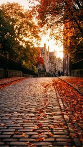 Autumn Colors