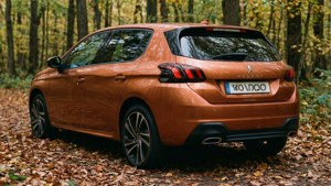 Autumn Copper 308