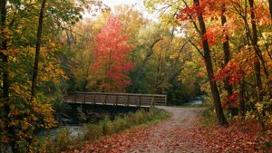 Autumn Creek Trail