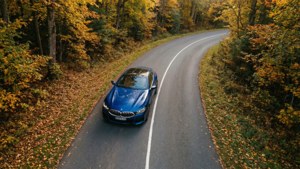 Autumn Curve