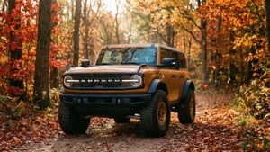 Autumn Drive