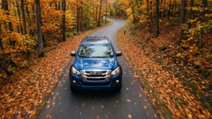 Autumn Drive