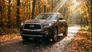 Autumn Drive