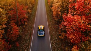 Autumn Drive
