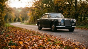 Autumn Drive