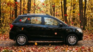 Autumn Drive