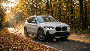 Autumn Drive